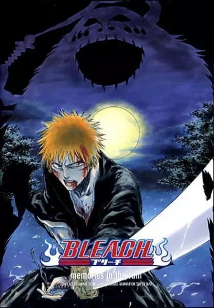Bleach: Memories in the Rain's Image