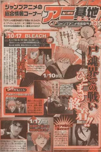 Bleach: Shuku! Rukia Dakkan! Kagayaku! Shinigami Juuban Shoubu! Mitai Shinigami Doon to Misemasu Special's Image