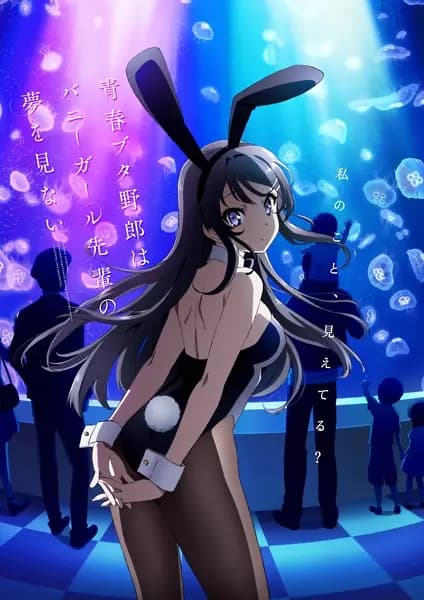 Seishun Buta Yarou wa Bunny Girl Senpai no Yume wo Minai's Image