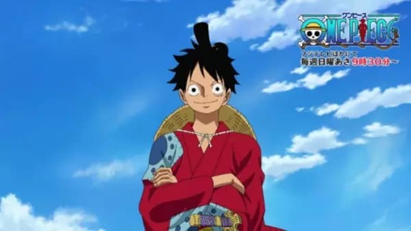 One Piece: Mugiwara no Ichimi kara no Kansen Yobou Message's Image