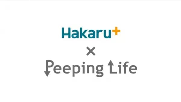 Takemoto Denki x Peeping Life's Image