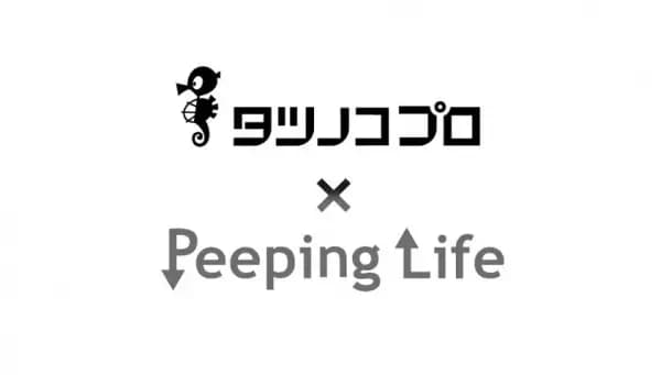 Tatsunoko Pro x Peeping Life's Image